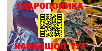 гидропоника Чебоксары