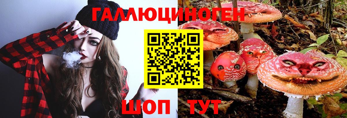 Псилоцибиновые грибы Psilocybe Гагарин