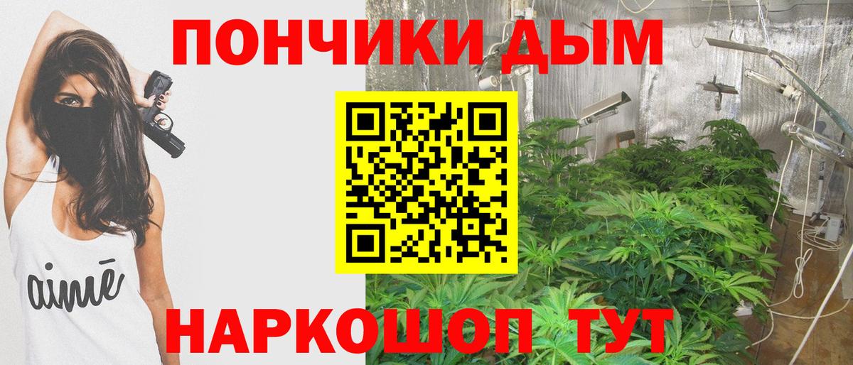Шишки марихуана план  Каннабис LSD WEED  Гагарин  Шишки марихуана планчик  Вход с VPN 
